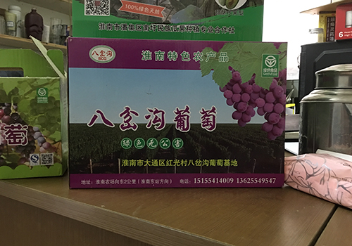 大(dà)通區(qū)八岔溝葡萄種植合作社