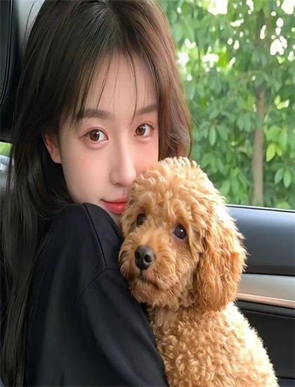 欧美一曲二曲三曲的区别_红天鹅韩剧在线观看全集免费播放_第一滴血5在线观看国语高清完整版